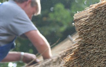 professional Alveston thatchers